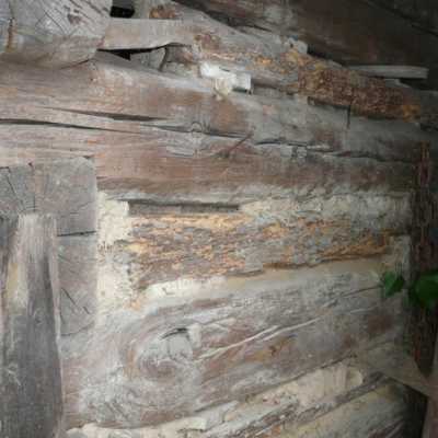 Ukázka havarijního stavu roubení v důsledku dlouhodobé absence ošetření konstrukce proti dřevokazným škůdcům.