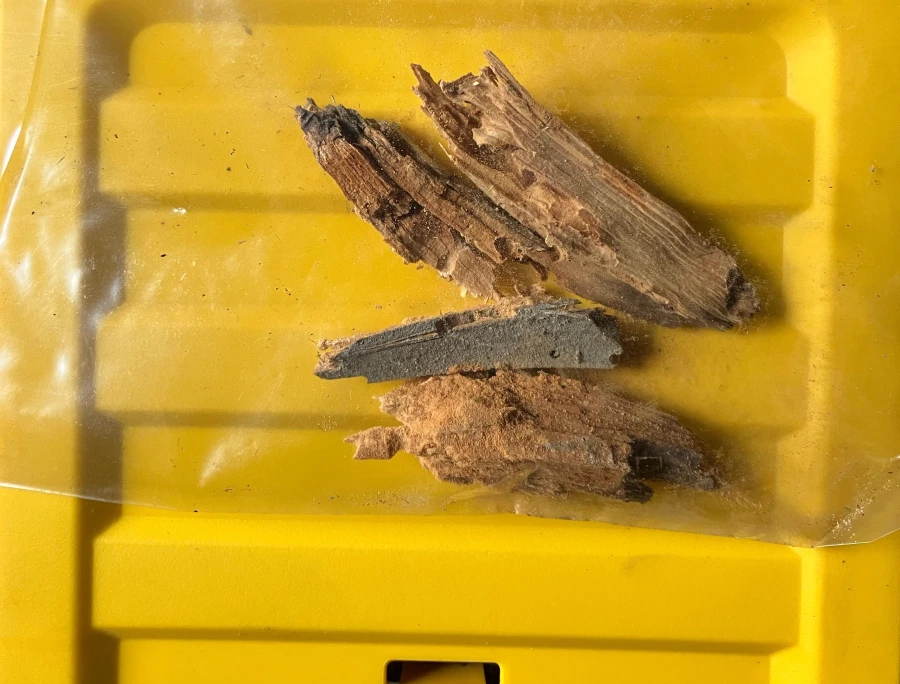 Odborná diagnostika