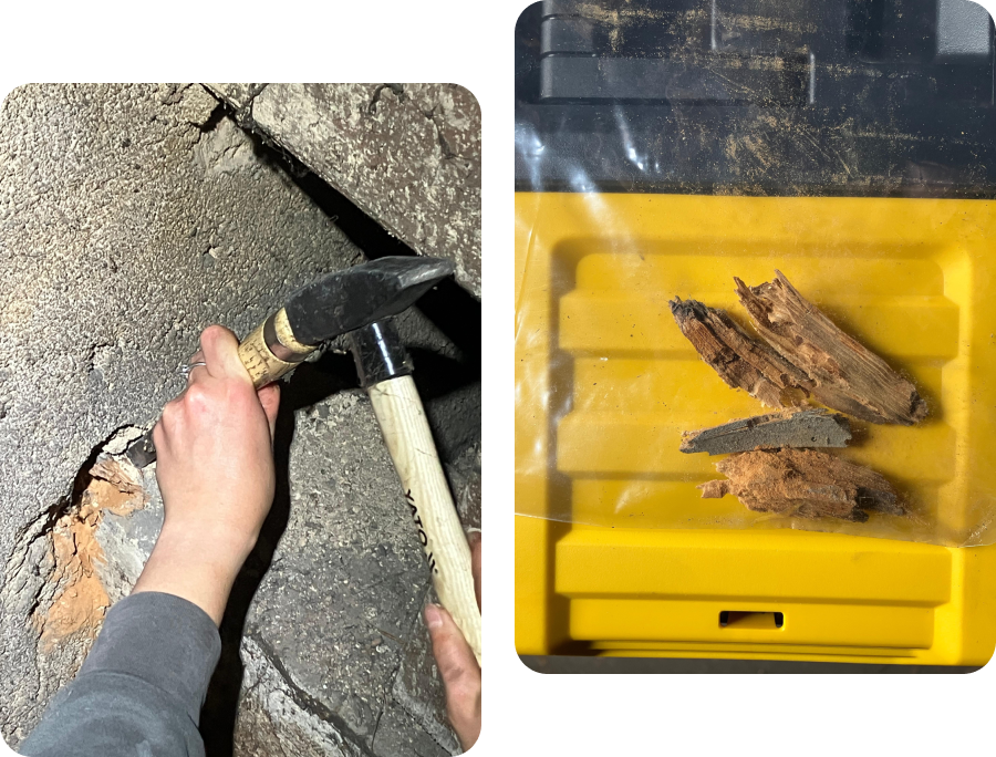 Profesionální diagnostika